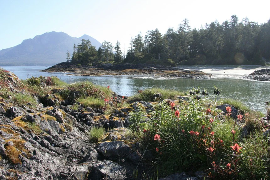 Escape to Clayoquot Sound by John & Bea Dowd - Image 3