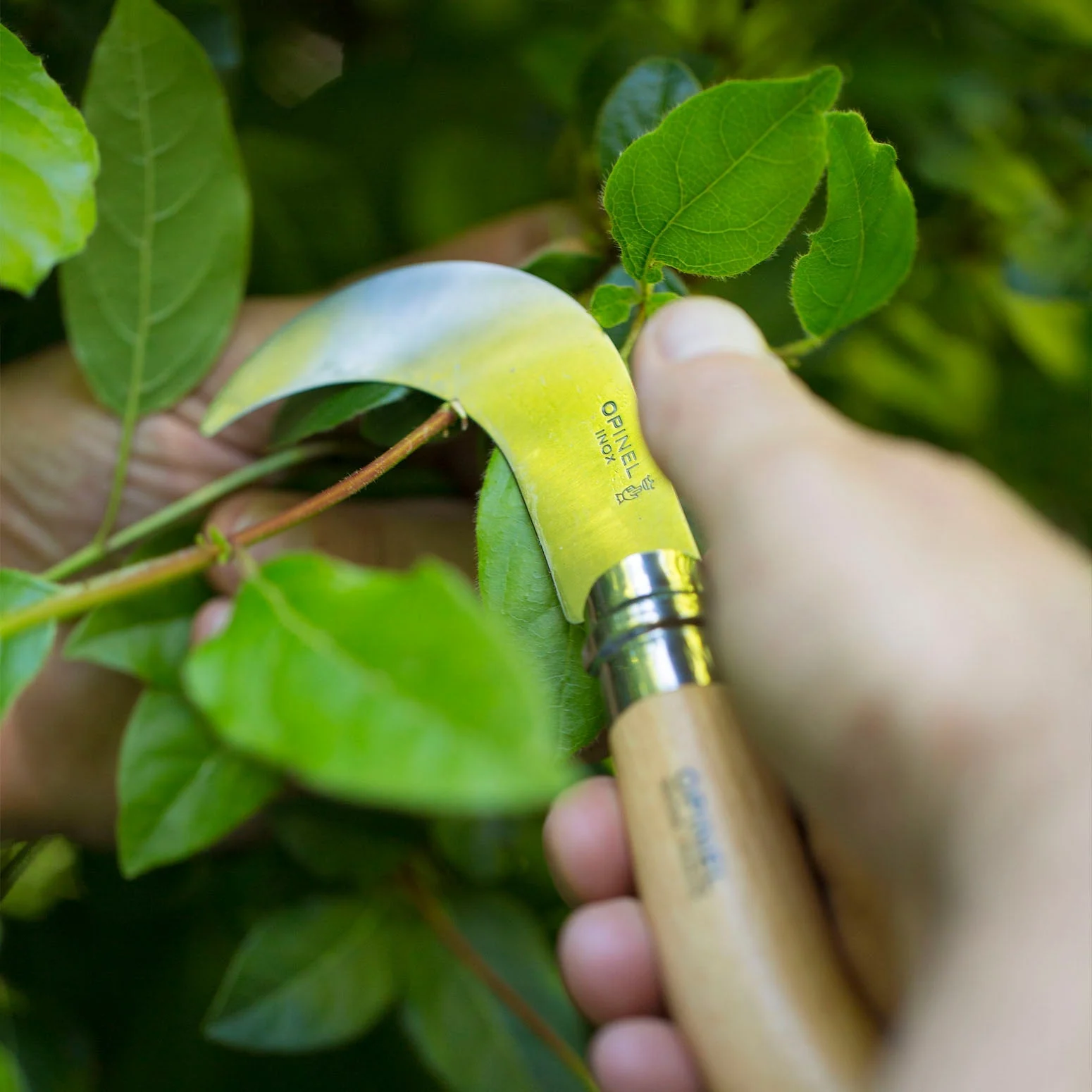 Opinel No.10 Billhook Folding Knife - Image 3